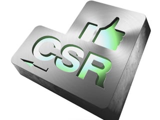 CSR Guidelines.jpg