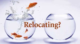 relocation program.jpg